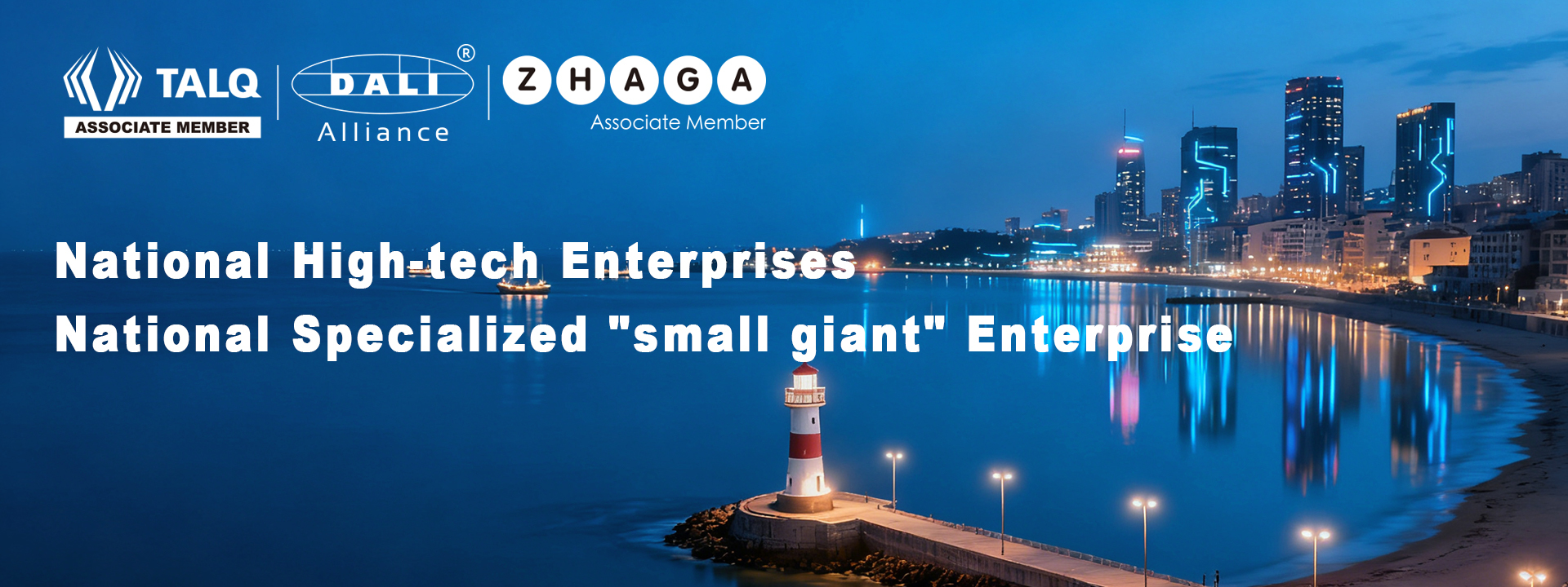 Qualità Presa ZHAGA Fabbrica